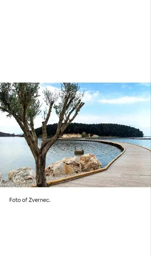 Juli Appartament Near The Beach & The Center Of City Vlore